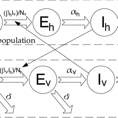 Sei (SEI), Market Dynamics, TVL
