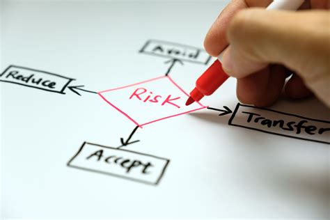 The Role of Risk